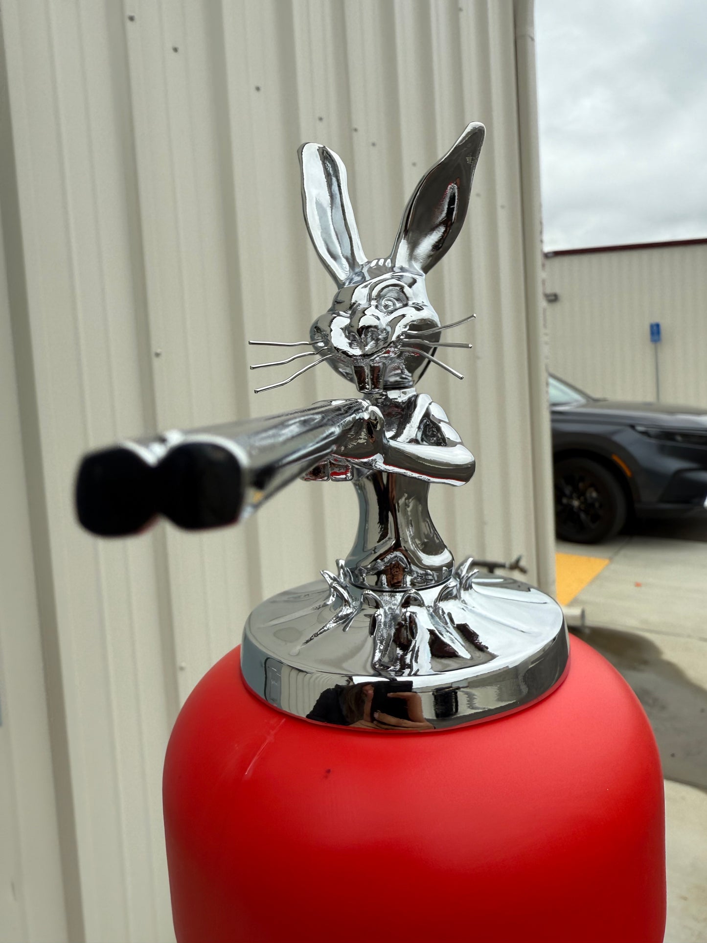 Shotgun Bunny
