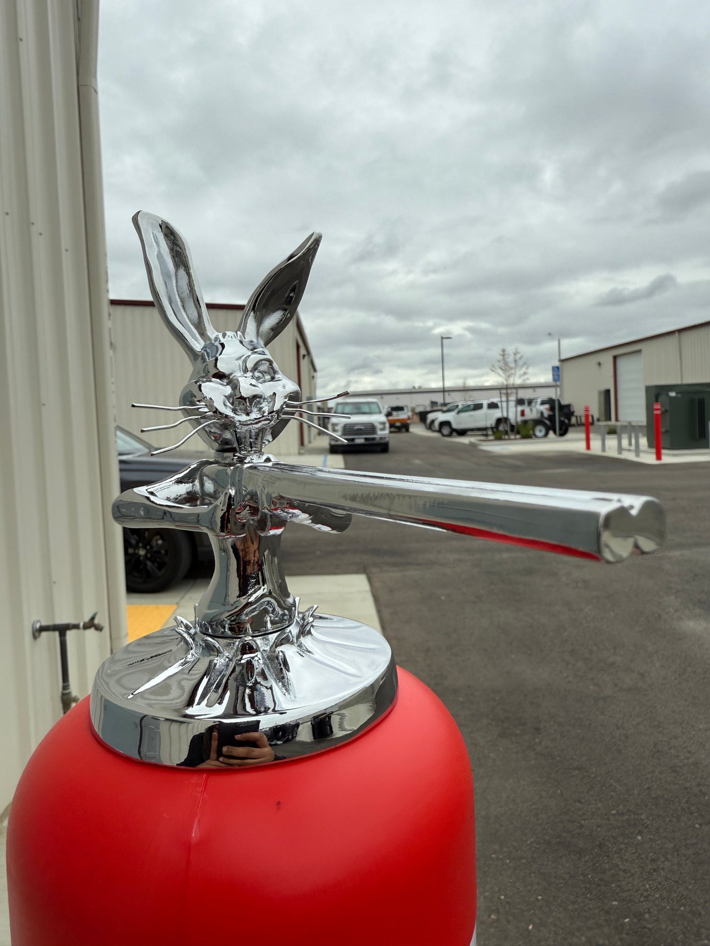 Shotgun Bunny