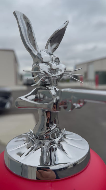 Shotgun Bunny